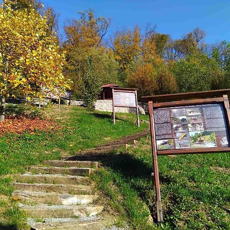 Vila Trnoruzica Тухей Екстериор снимка