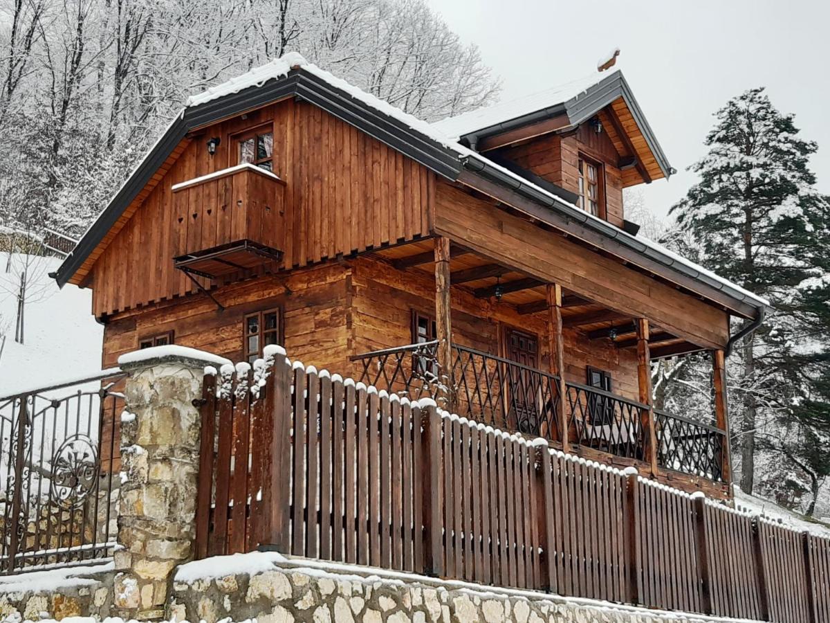 Vila Trnoruzica Тухей Екстериор снимка