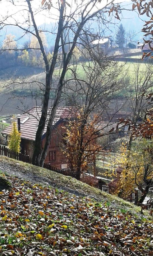 Vila Trnoruzica Тухей Екстериор снимка